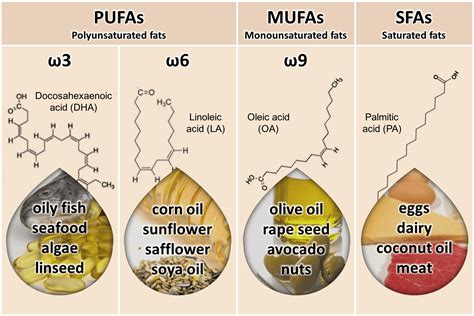 oils rich in omega 6.